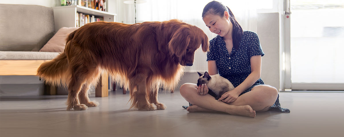Woman believes in getting the best pet insurance for her dog and cat who sit with her