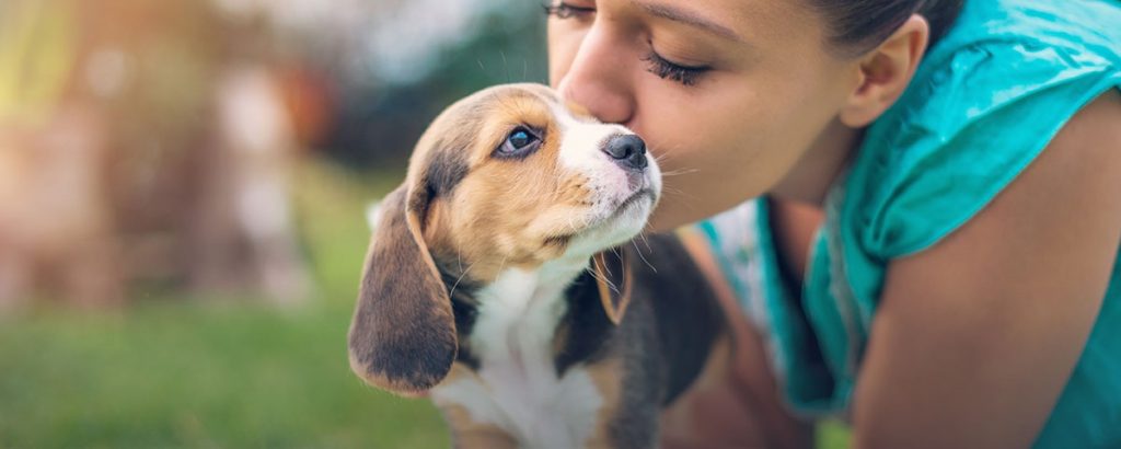Learn About Excess Coverage in Pet Insurance Trupanion Learn About Excess Coverage in Pet Insurance Trupanion