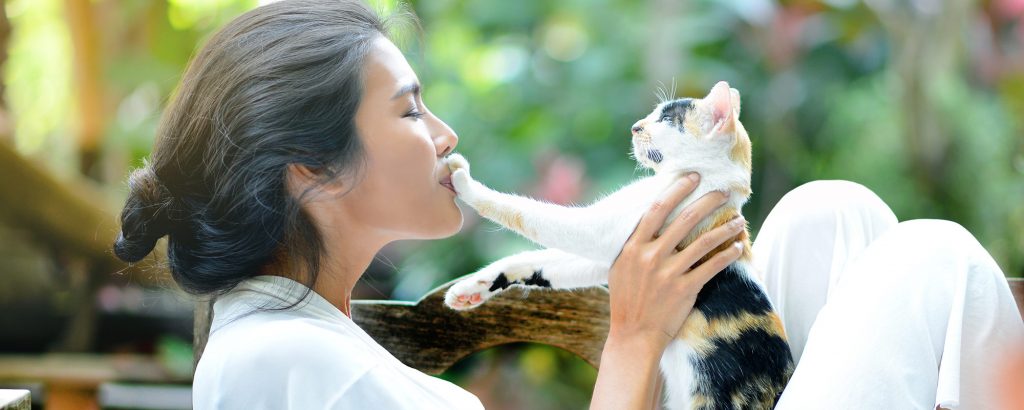 Pet Insurance (With No Payout Limits, No Sublimits