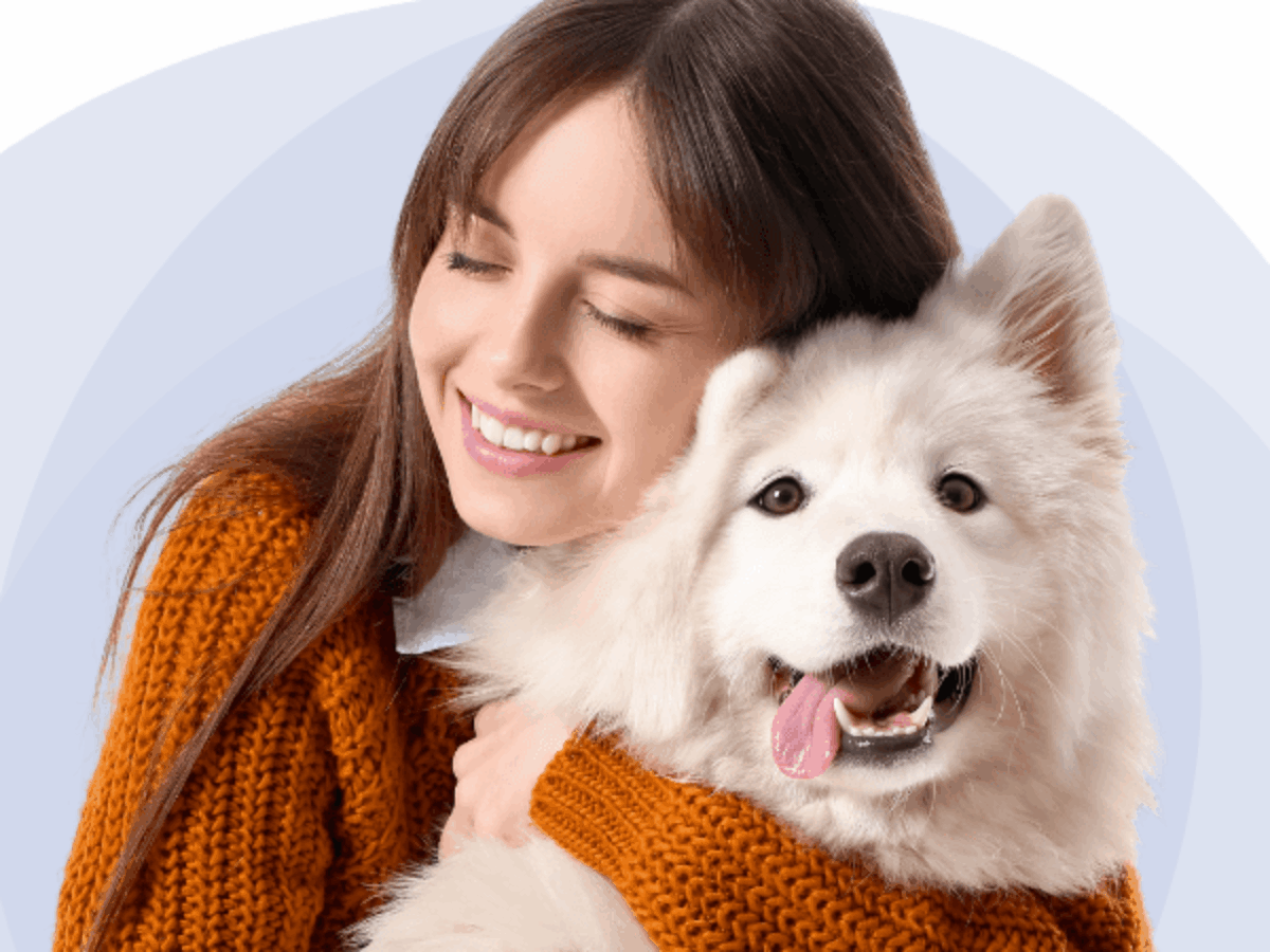 Pet Insurance for Dogs That Covers Pre Existing Conditions: Secure Your Pup's Health