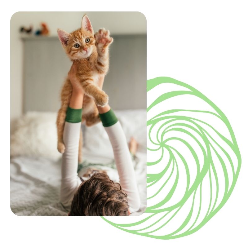 Cat with boy playing