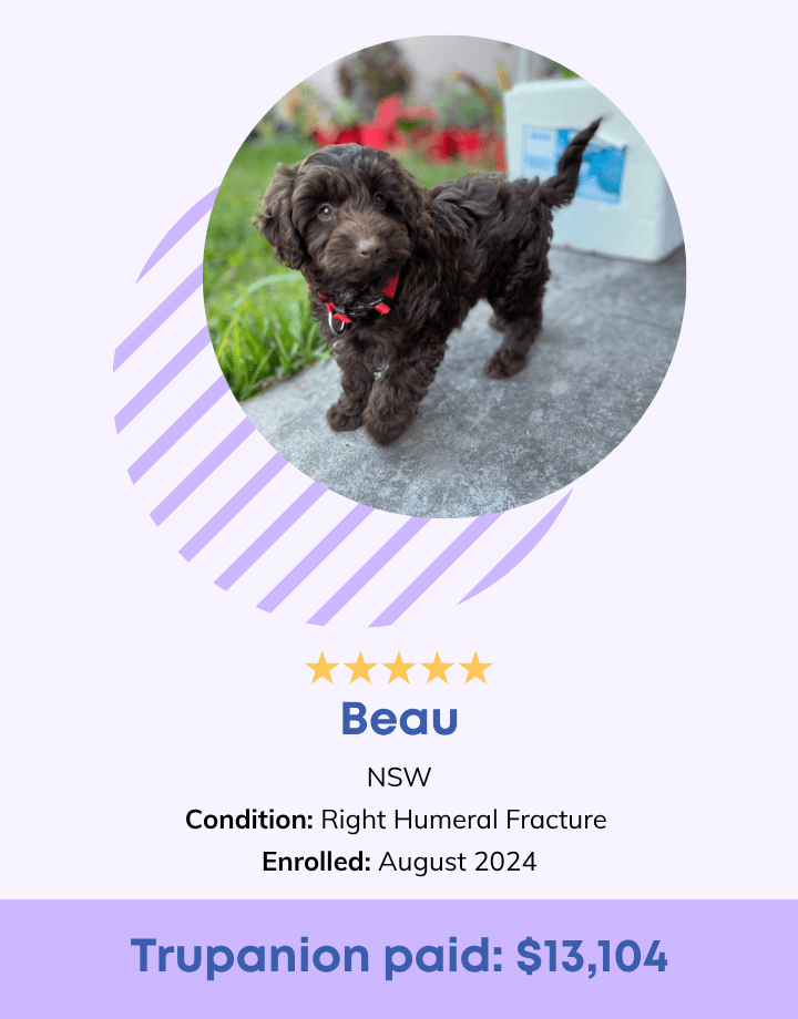 Beau Testimonial
