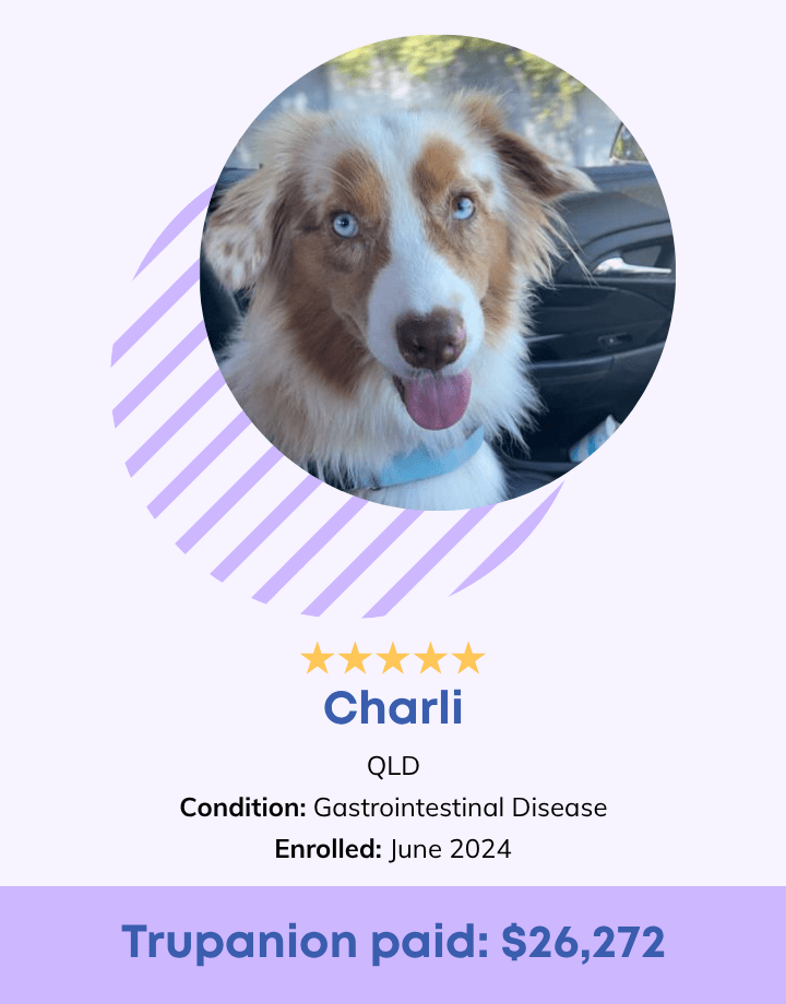 Charli Testimonial