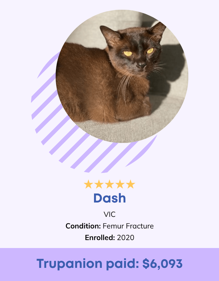 Dash Testimonial