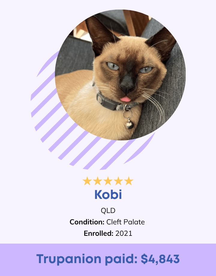 Kobi Testimonial