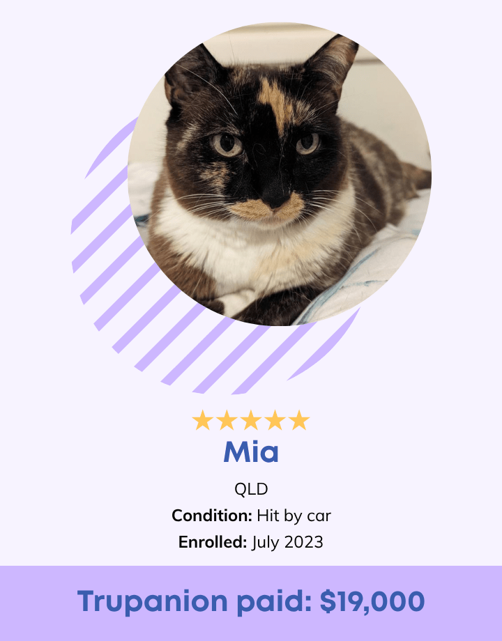 Mia Testimonial
