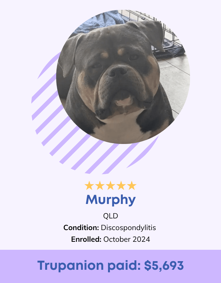 Murphy Testimonial
