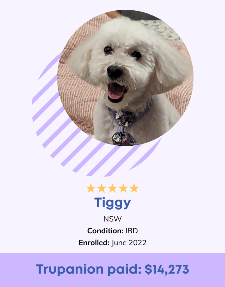 Tiggy Testimonial
